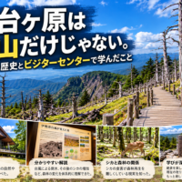 大台ヶ原の白骨林と自然学習をテーマにしたAI生成の表紙イメージ。実際の施設・展示の記録写真ではありません。